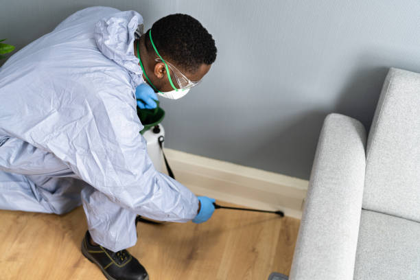 Best Pest Prevention Services  in Chillicothe, OH